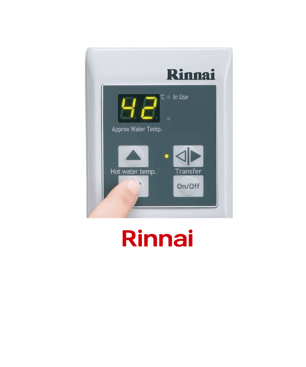בקר רינאי
